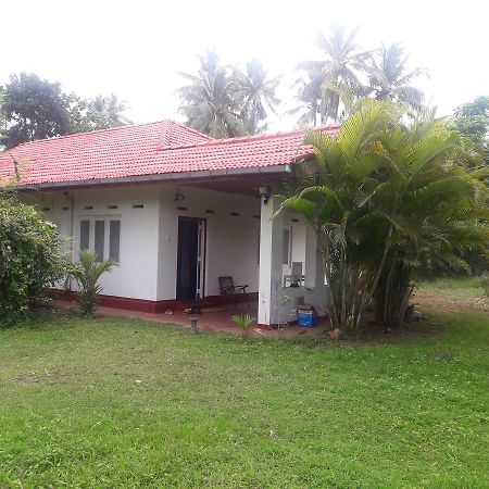 International Meditation Center Hotel Mirissa Exterior photo